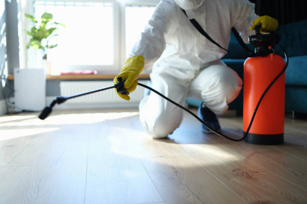 Reliable Odor Removal contractor in Whitesburg, GA by Dulley Family Biohazard Services